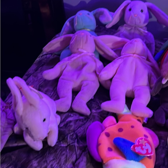 I have a full collection of TY the beanie babies collection - Picture 6 of 6